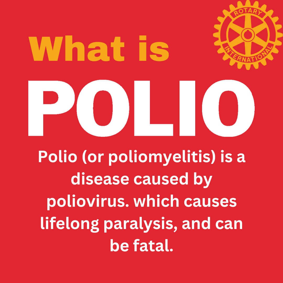 Polio Walk 1