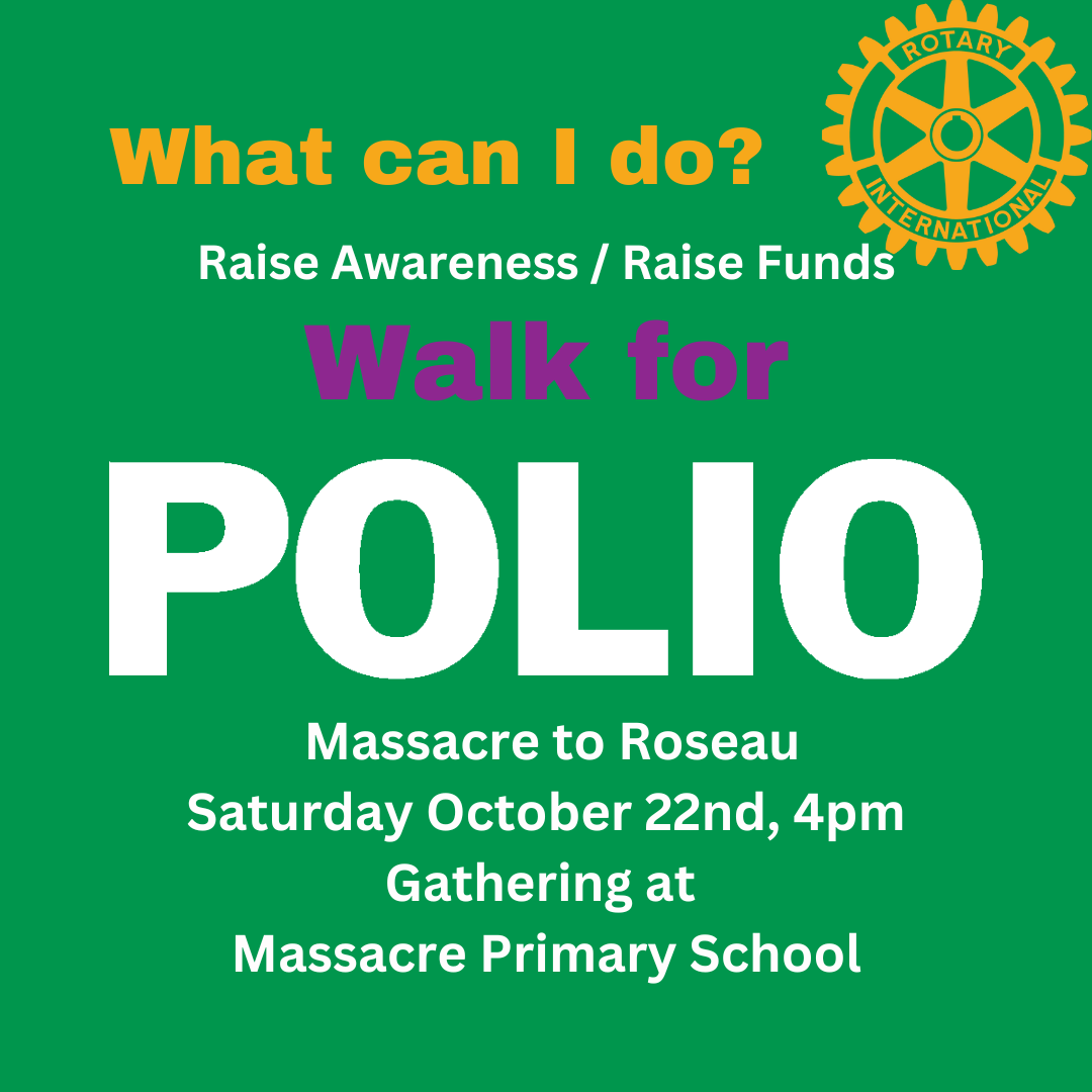 Polio Walk 3